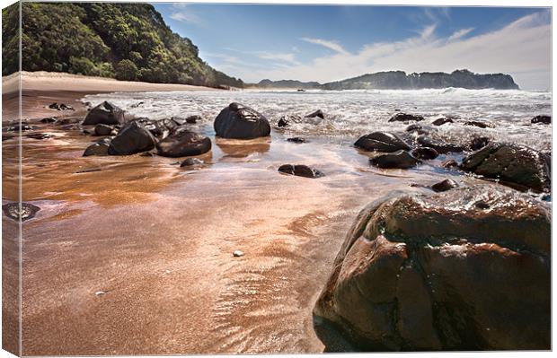 Rocky beach Canvas Print by Stephen Mole