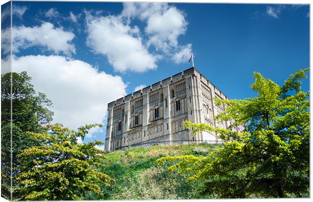 Norwich Castle Canvas Print by Stephen Mole