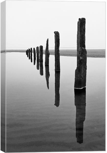 Groyns at Brancaster Staithe Canvas Print by Stephen Mole