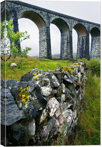 Ribblehead Viaduct and dry stone wall Canvas Print by Stephen Mole