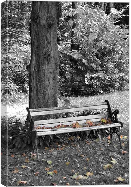 Lonely Autumn Bench Canvas Print by Jean Scott