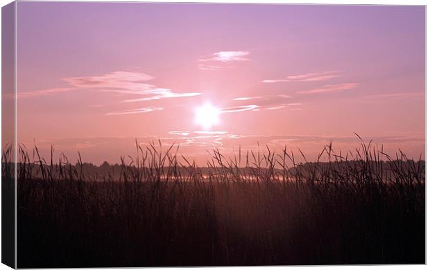 Sunrise Over the Marsh Canvas Print by Jean Scott