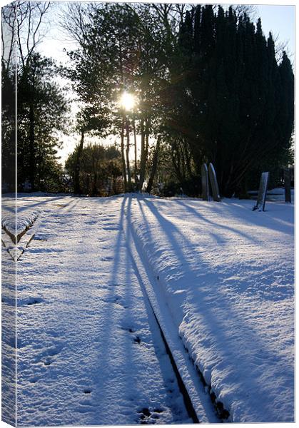 Long Shadows Canvas Print by Pete Holloway