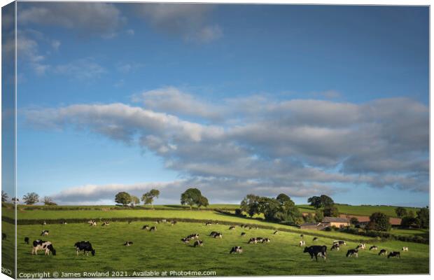 Happy Cows Canvas Print by James Rowland