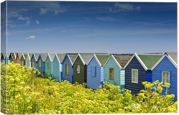 Beach huts in Springtime Canvas Print by James Rowland
