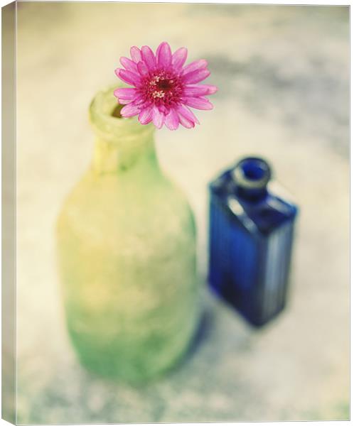 Flower and Old Bottles Canvas Print by James Rowland