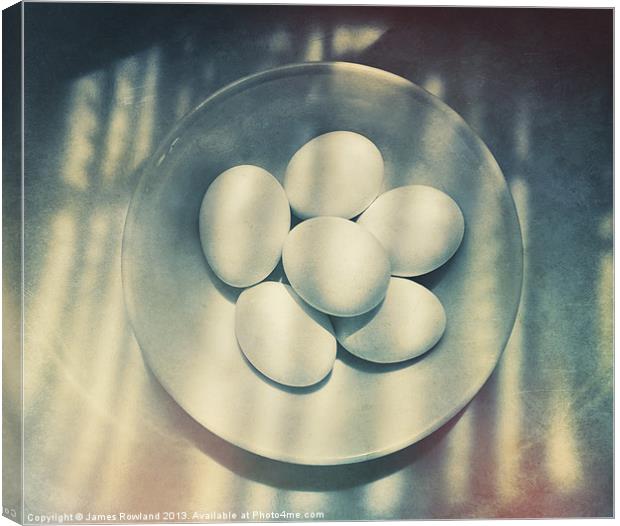 Eggs in a white bowl Canvas Print by James Rowland