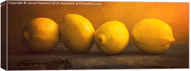  Four Lemons Canvas Print by James Rowland