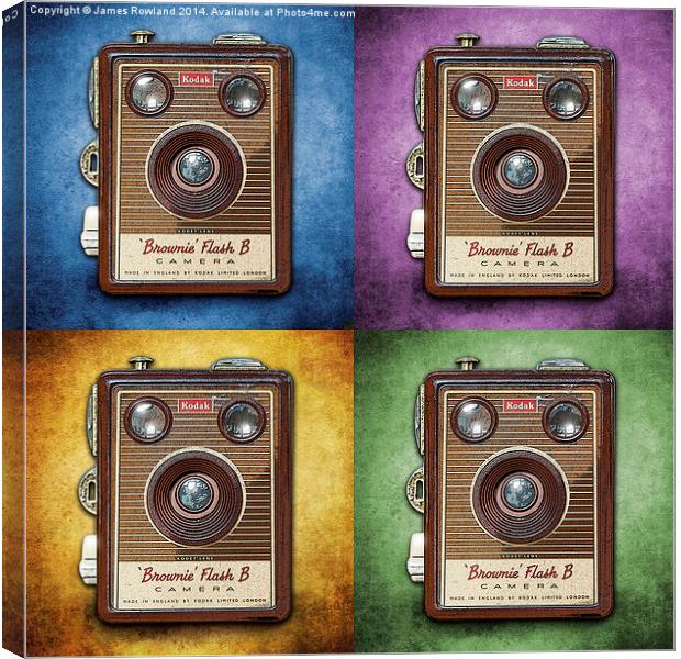  Four Brownies Canvas Print by James Rowland