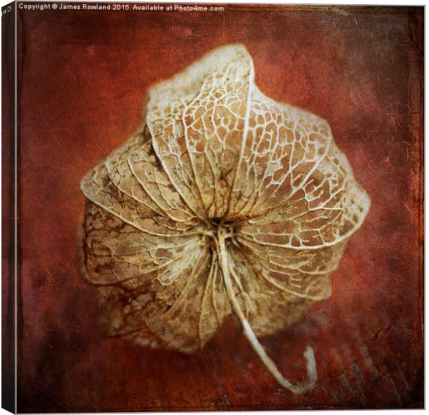  Chinese Lantern Detail Canvas Print by James Rowland