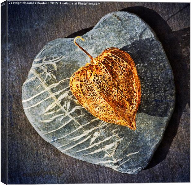  Heart Stone Canvas Print by James Rowland