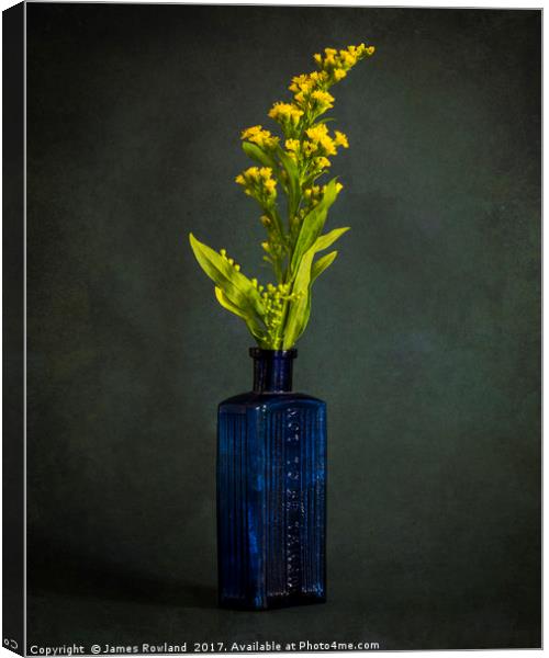 A Bottle with Flower Canvas Print by James Rowland