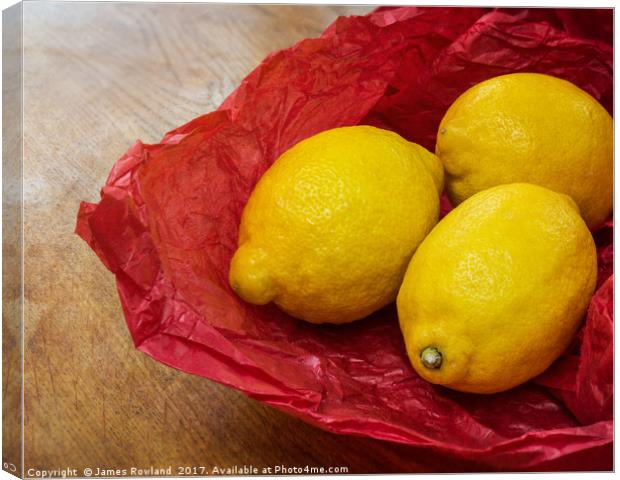 Still Life with Lemons Canvas Print by James Rowland
