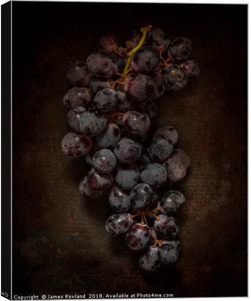 Dark Grapes Canvas Print by James Rowland