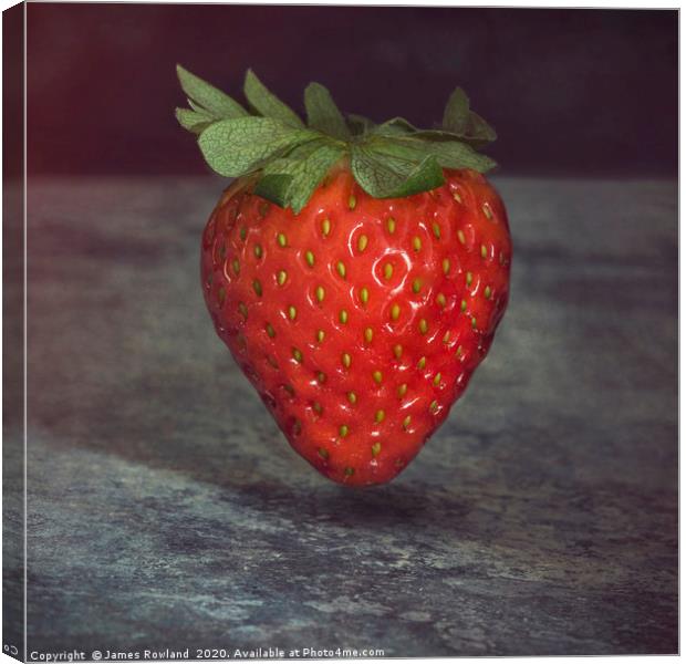 Extraordinary Strawberry Canvas Print by James Rowland