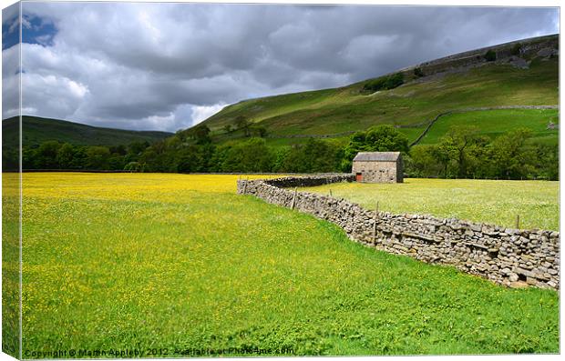 Field of Gold Canvas Print by Martin Appleby