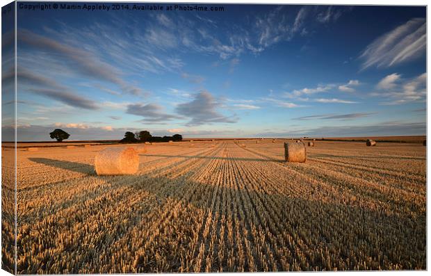 Hay Bales Canvas Print by Martin Appleby