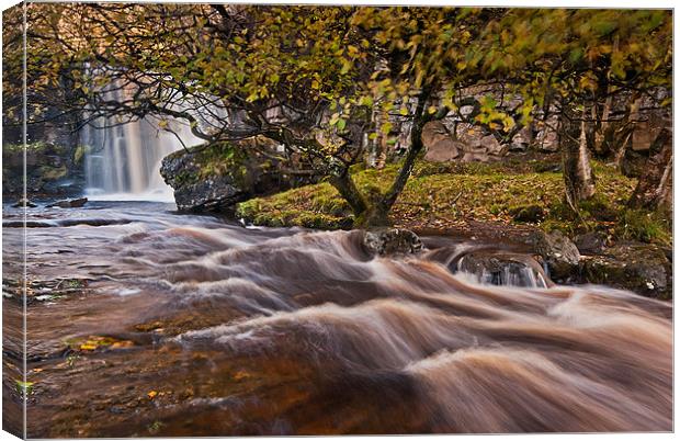 East Gill Force. Keld. Canvas Print by Martin Appleby