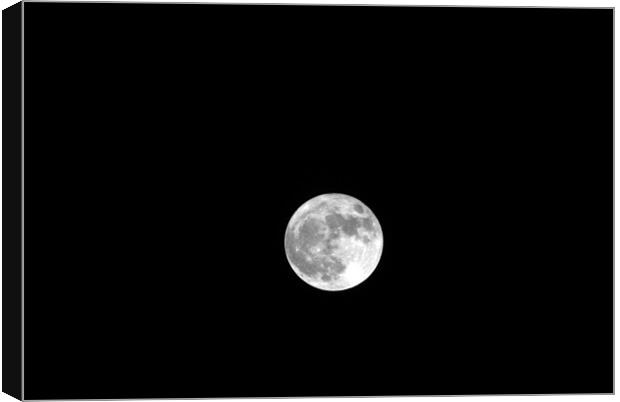 the Moon Canvas Print by Dave Windsor