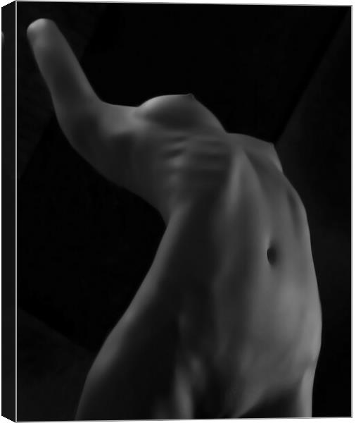 Nude Model Canvas Print by Amy Rogers
