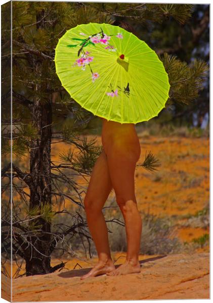 Lady Under a Parasol Canvas Print by Amy Rogers