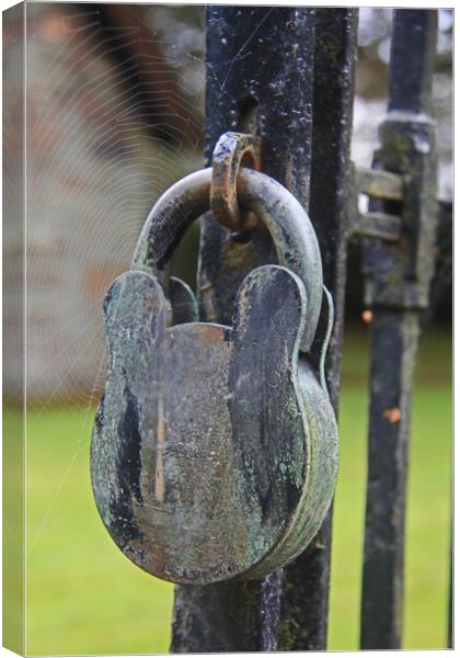 Lock and a Spider Web Canvas Print by Amy Rogers