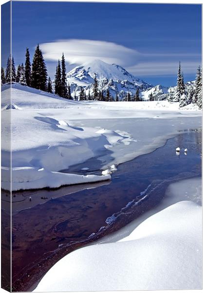 Nearly Frozen  Canvas Print by Mike Dawson