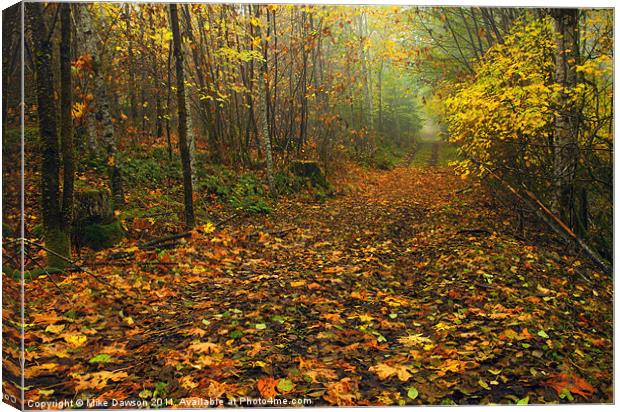 Autumn Lane Canvas Print by Mike Dawson