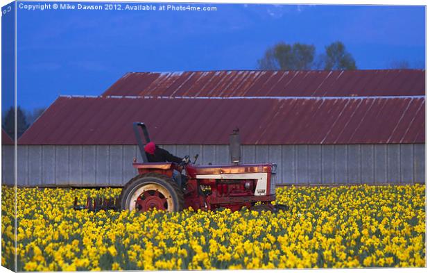 Working Fields of Color Canvas Print by Mike Dawson