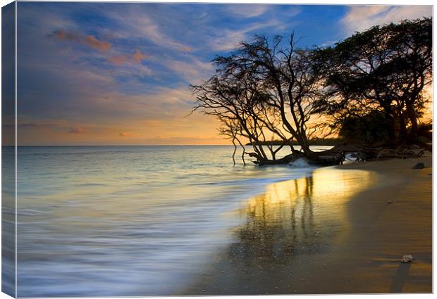 Reflections of Paradise Canvas Print by Mike Dawson