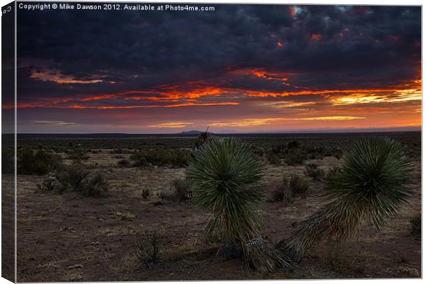 Yucca Sunset Canvas Print by Mike Dawson