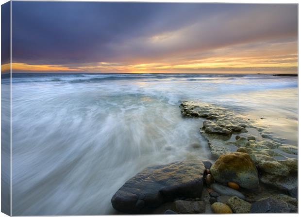 Swept out to Sea  Canvas Print by Mike Dawson