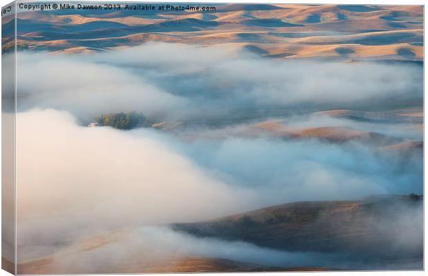 Palouse Morning Mist Canvas Print by Mike Dawson