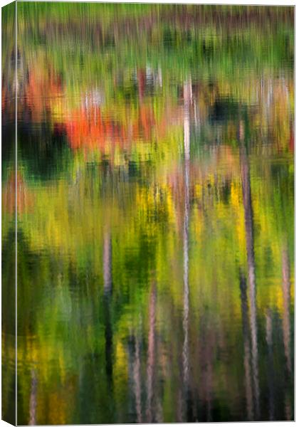 Autumn Impressions Canvas Print by Mike Dawson
