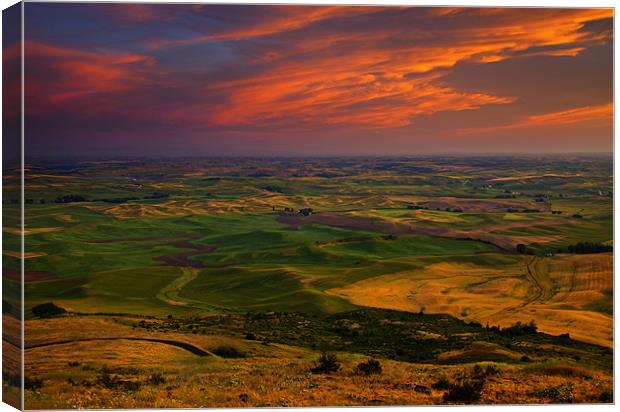 Red Sky over the Palouse Canvas Print by Mike Dawson