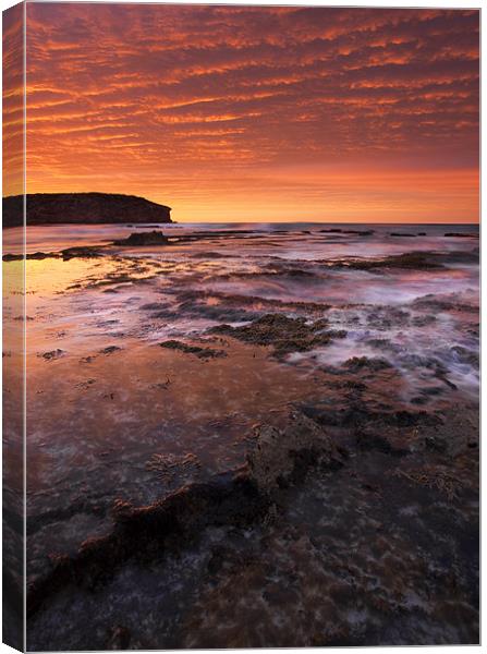 Red Tides Canvas Print by Mike Dawson