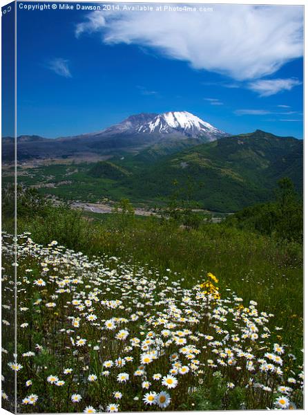 Mt. St. Helens View Canvas Print by Mike Dawson