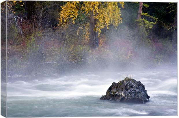 Autumn Mist Canvas Print by Mike Dawson