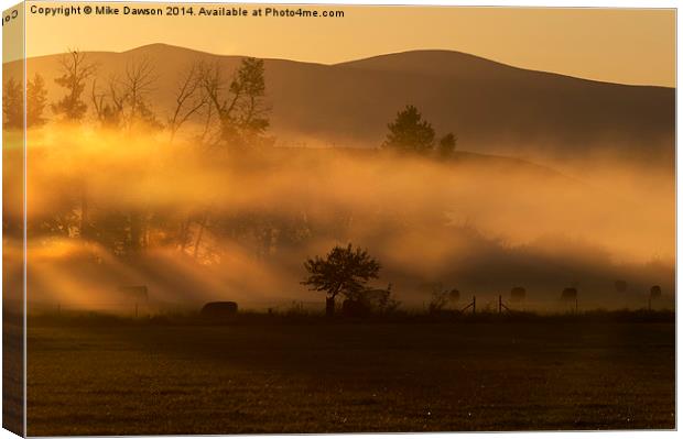 Golden Morning Canvas Print by Mike Dawson