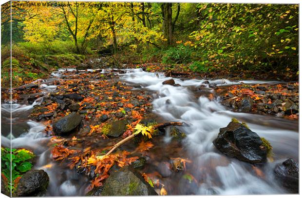 Wahkeena Fall Canvas Print by Mike Dawson