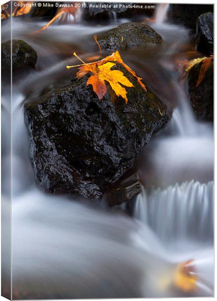 Autumn Above and Below Canvas Print by Mike Dawson