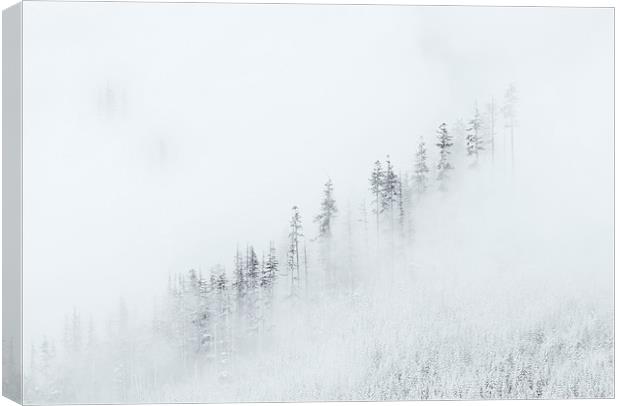 Winters Blanket Canvas Print by Mike Dawson