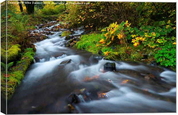 Seasons Change Canvas Print by Mike Dawson