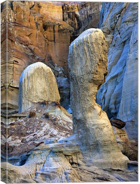 Natures Sculpting Canvas Print by Mike Dawson