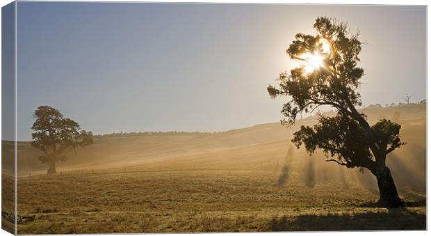 Country Sunrise Canvas Print by Mike Dawson