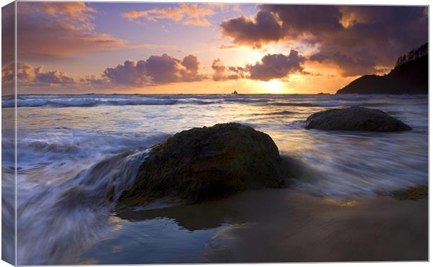 Swept Away Canvas Print by Mike Dawson