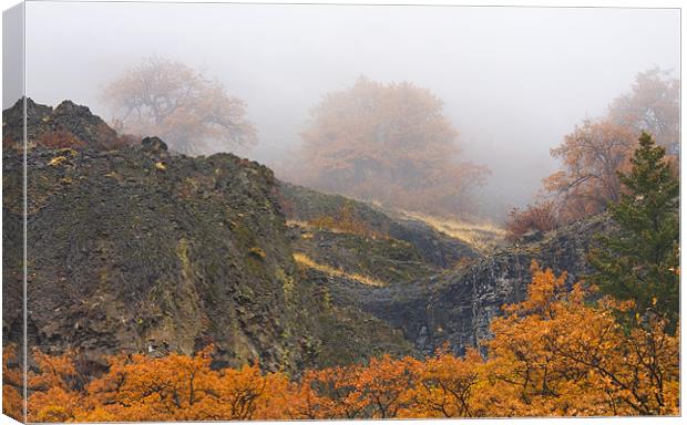 Autumn Obscured Canvas Print by Mike Dawson