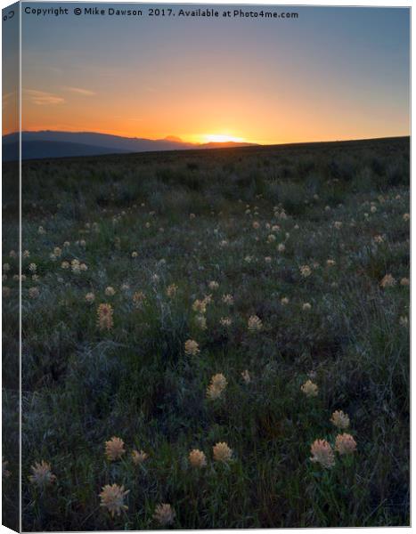Sunset and Clover Canvas Print by Mike Dawson