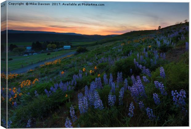 Country Meadow Sunset Canvas Print by Mike Dawson