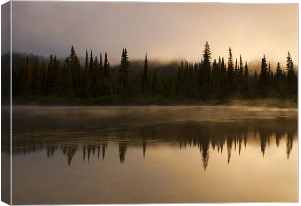 Golden Dawn Canvas Print by Mike Dawson